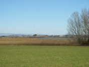 2011-02-25-010-Etang-D-Entressen