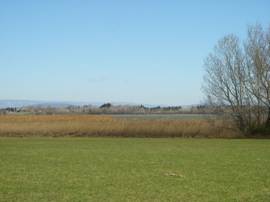 2011-02-25-010-Etang-D-Entressen