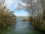 2011-02-25-011-Etang-D-Entressen