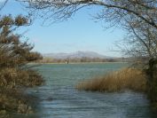 2011-02-25-012-Etang-D-Entressen