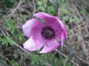 2011-04-14-012-Unknown
