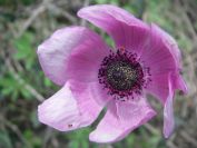 2011-04-14-013-Unknown