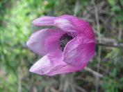 2011-04-14-014-Unknown