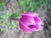 2011-04-14-015-Unknown