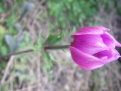 2011-04-14-016-Unknown