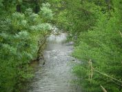 2011-04-15-004-Le-Gapeau