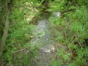 2011-04-15-005-Le-Gapeau