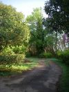 2011-04-16-003-Nice-Leafy-Lane