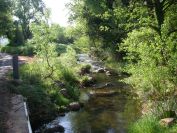 2011-04-16-004-Lots-of-Small-Rivers