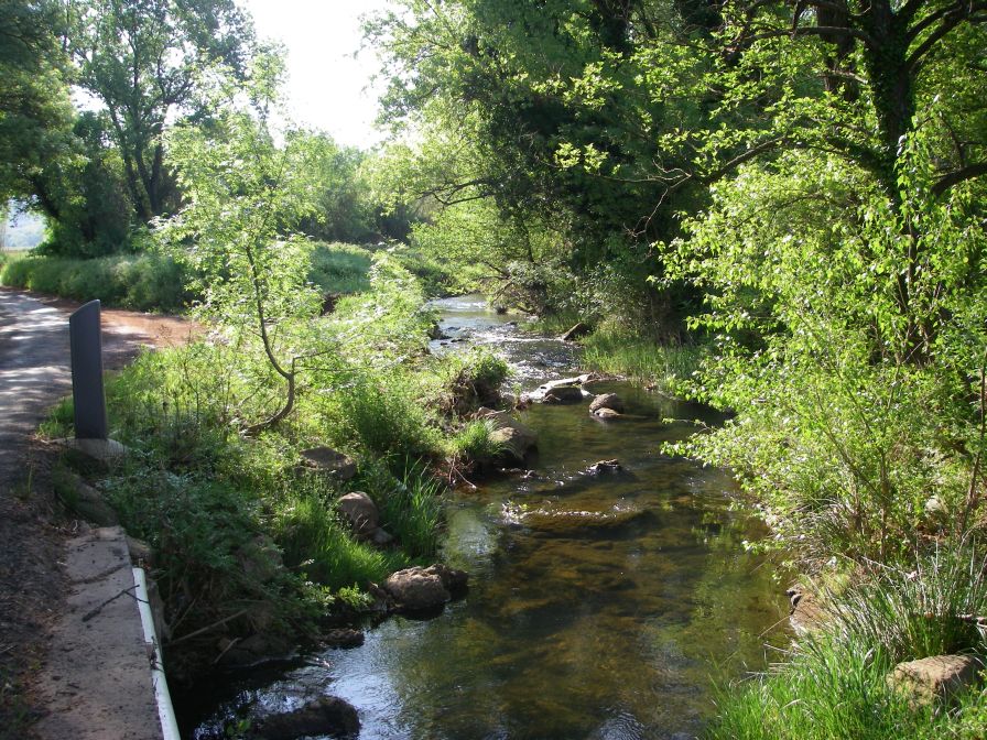 2011-04-16-004-Lots-of-Small-Rivers