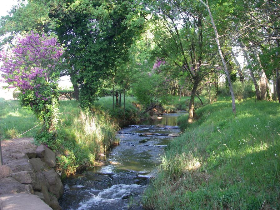 2011-04-16-005-Lots-of-Small-Rivers