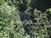 2011-04-16-012-Another-Stream