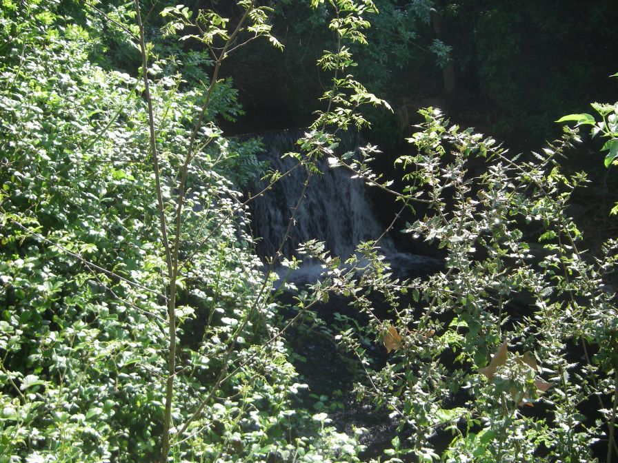 2011-04-16-012-Another-Stream