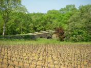 2011-04-17-003-Scenery-and-Bridge