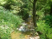 2011-04-17-005-A-Nice-River
