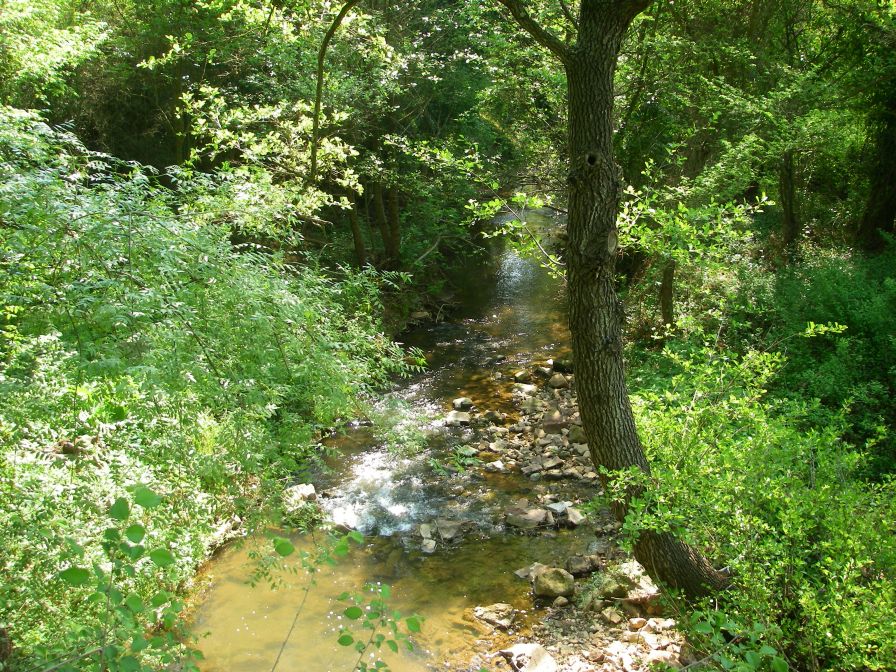 2011-04-17-005-A-Nice-River