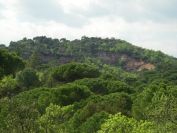 2011-04-17-007-Terrain
