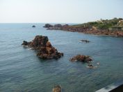 2011-04-19-012-Antheor