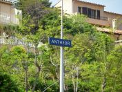 2011-04-19-019-Antheor