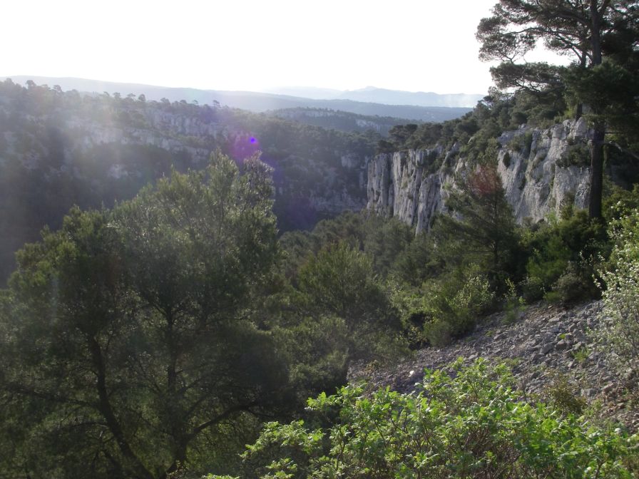 2011-04-13-001-Terrain