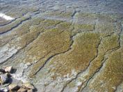 2011-04-13-006-La-Ciotat