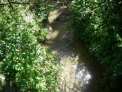 2011-04-13-011-St-Syr-Stream