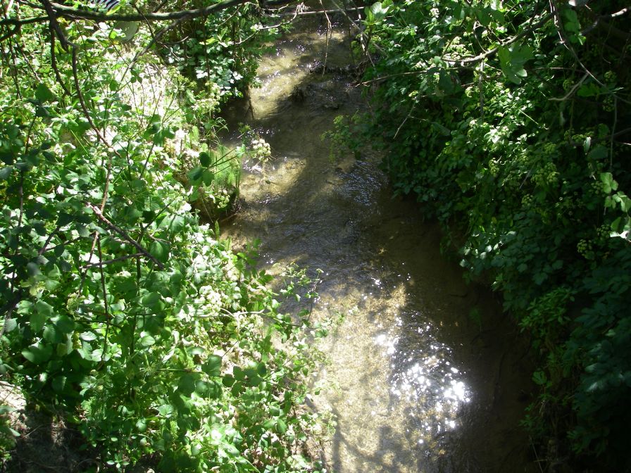 2011-04-13-011-St-Syr-Stream