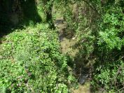2011-04-13-012-St-Syr-Stream