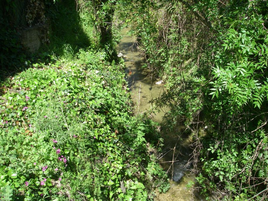 2011-04-13-012-St-Syr-Stream