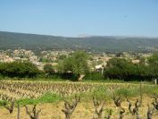 2011-04-13-013-Terrain