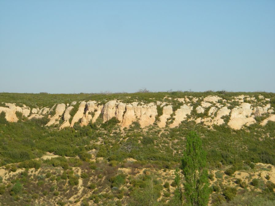 2011-04-10-035-The-Terrain