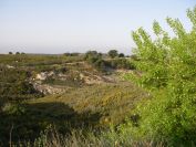 2011-04-11-005-Terrain