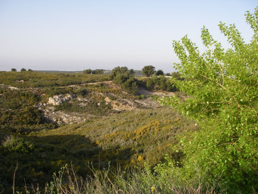 2011-04-11-005-Terrain