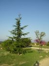 2011-04-11-010-Domaine-de-L-Etoile
