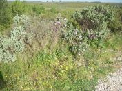 2011-04-11-017-Terrain