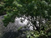 2011-04-11-029-River-at-St-Marcel