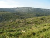2011-04-12-010-Terrain