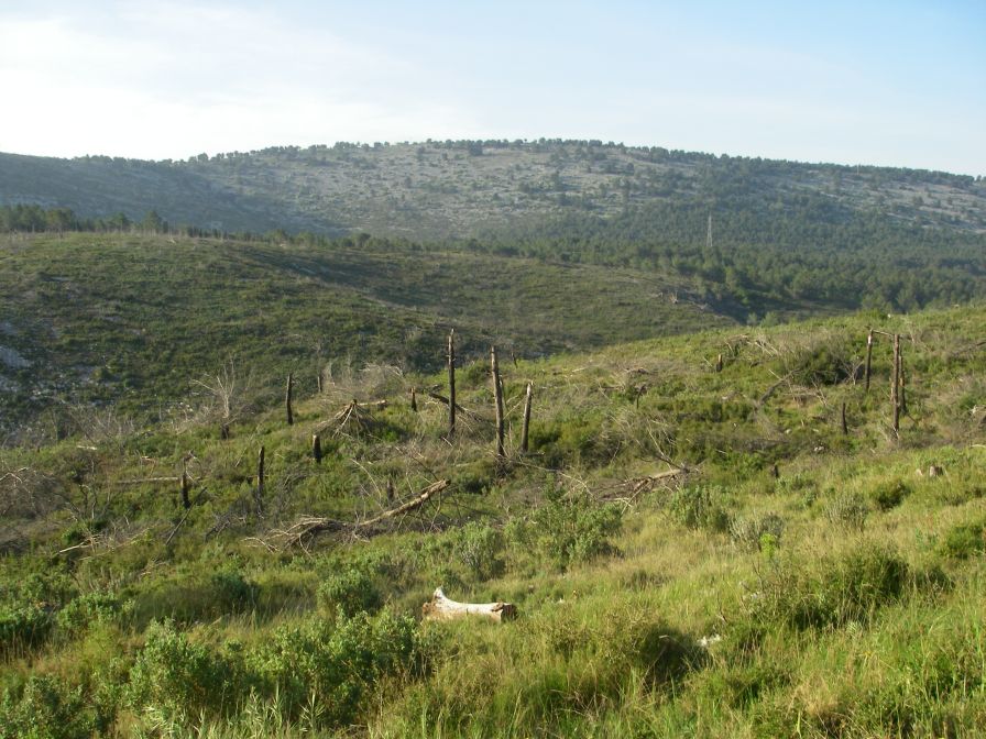2011-04-12-010-Terrain