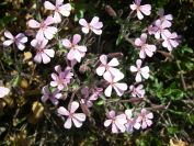 2011-04-12-024-Unknown
