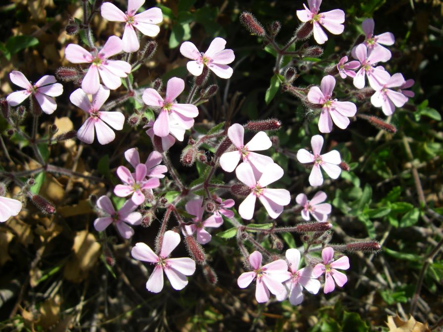 2011-04-12-024-Unknown