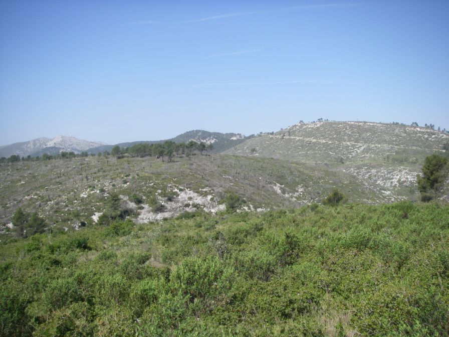 2011-04-12-030-Military-Zone