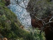 2011-04-21-008-Cove