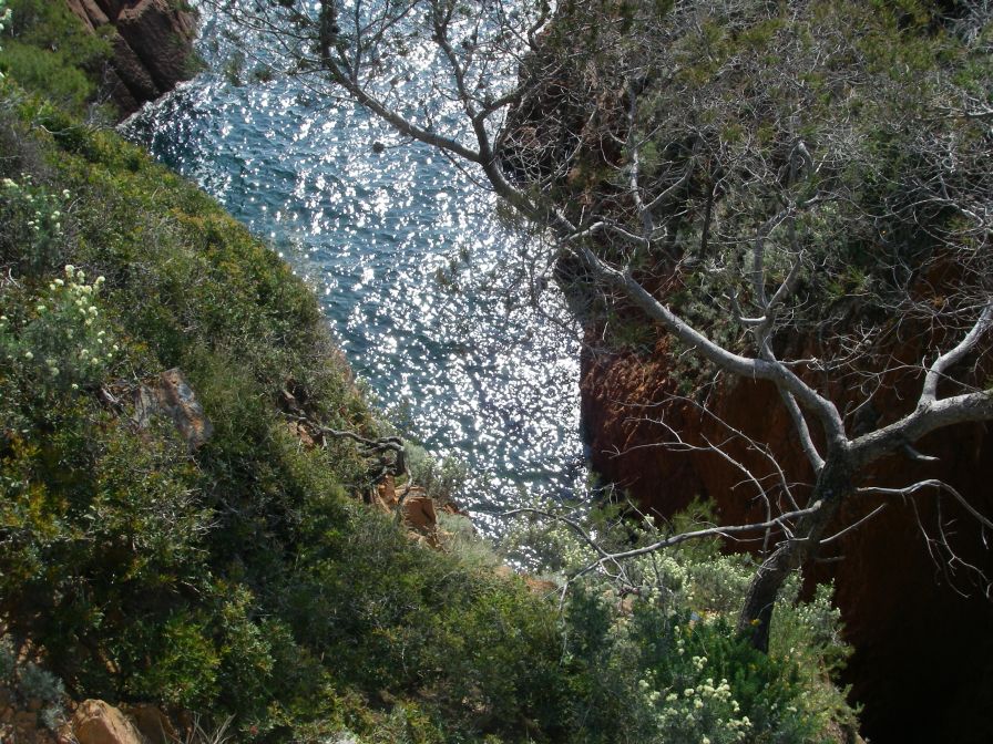 2011-04-21-008-Cove