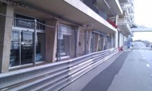 2011-04-24-006-Insane-Fencing-Everywhere