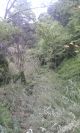 2011-04-24-037-More-Rivers-Here