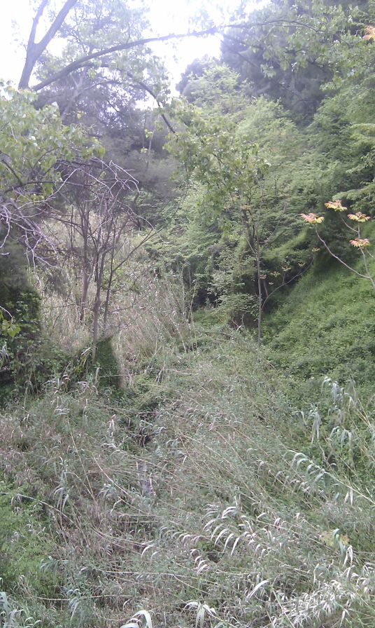2011-04-24-037-More-Rivers-Here