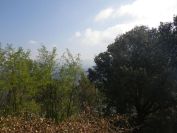 2012-04-01-004-At-the-top