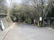 2012-04-01-006-Park-land