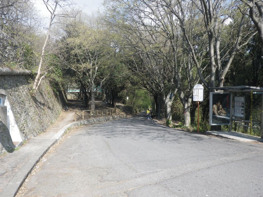2012-04-01-006-Park-land