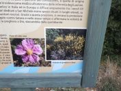 2012-04-06-007-Flower-Sign